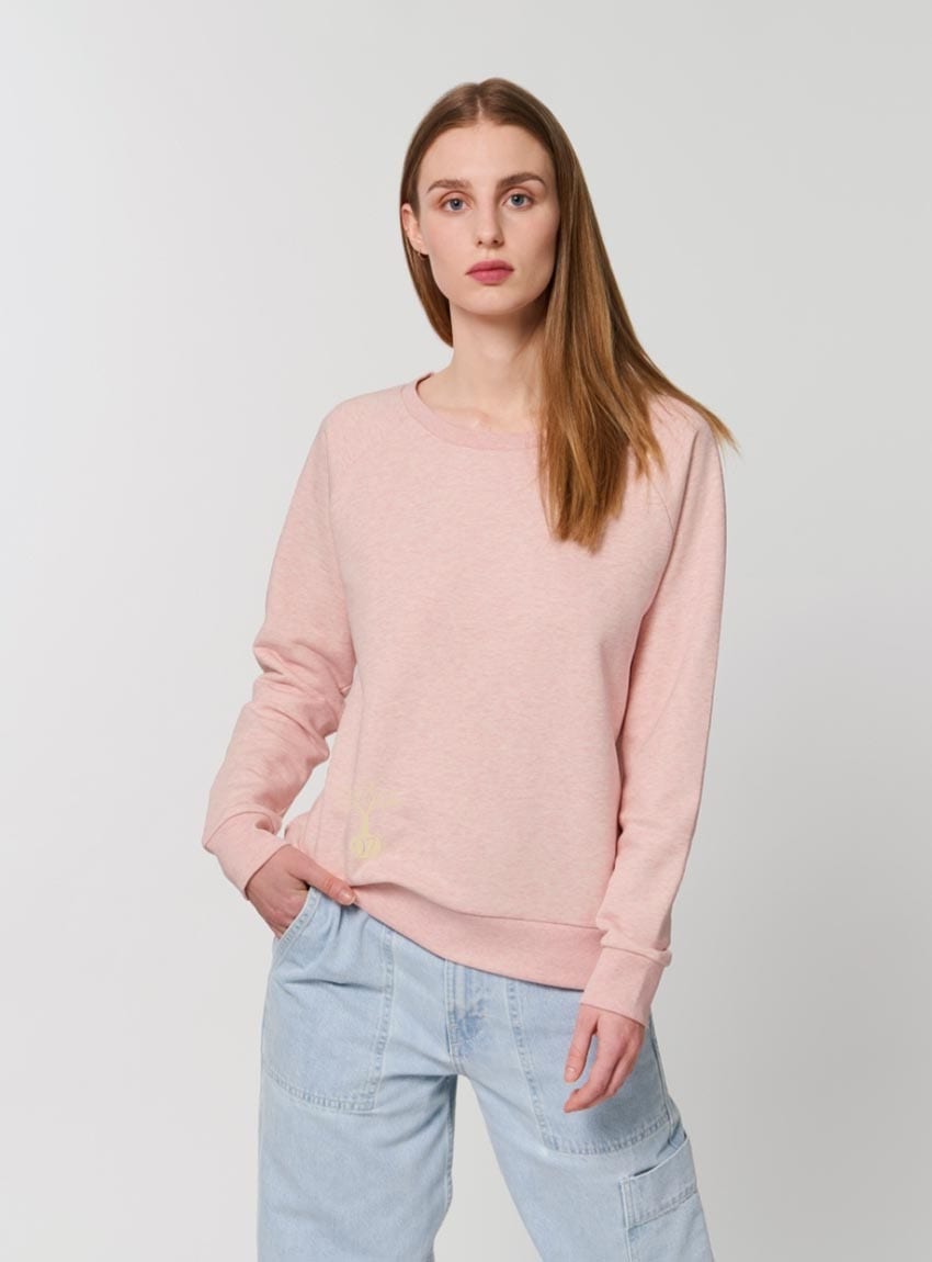 Pull Bio Femme Vieux Rose