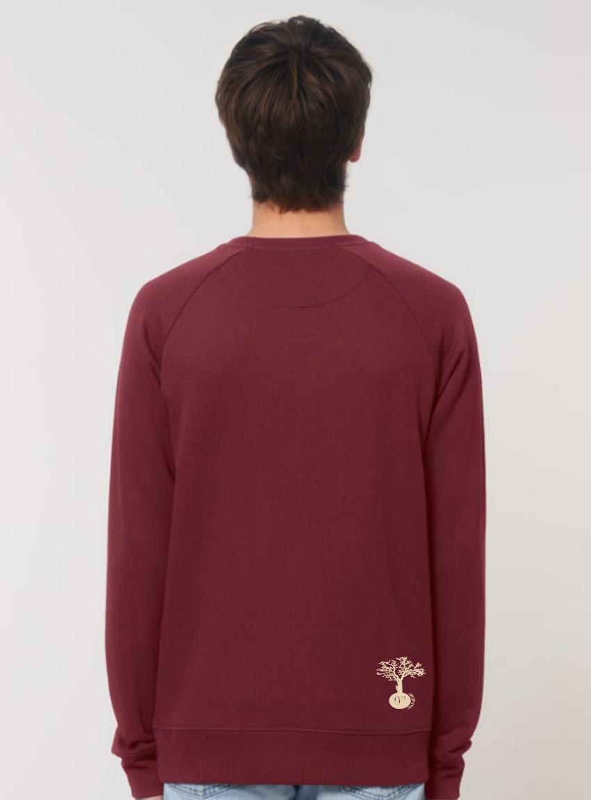 Pull Bio Unisex Silence Bordeau