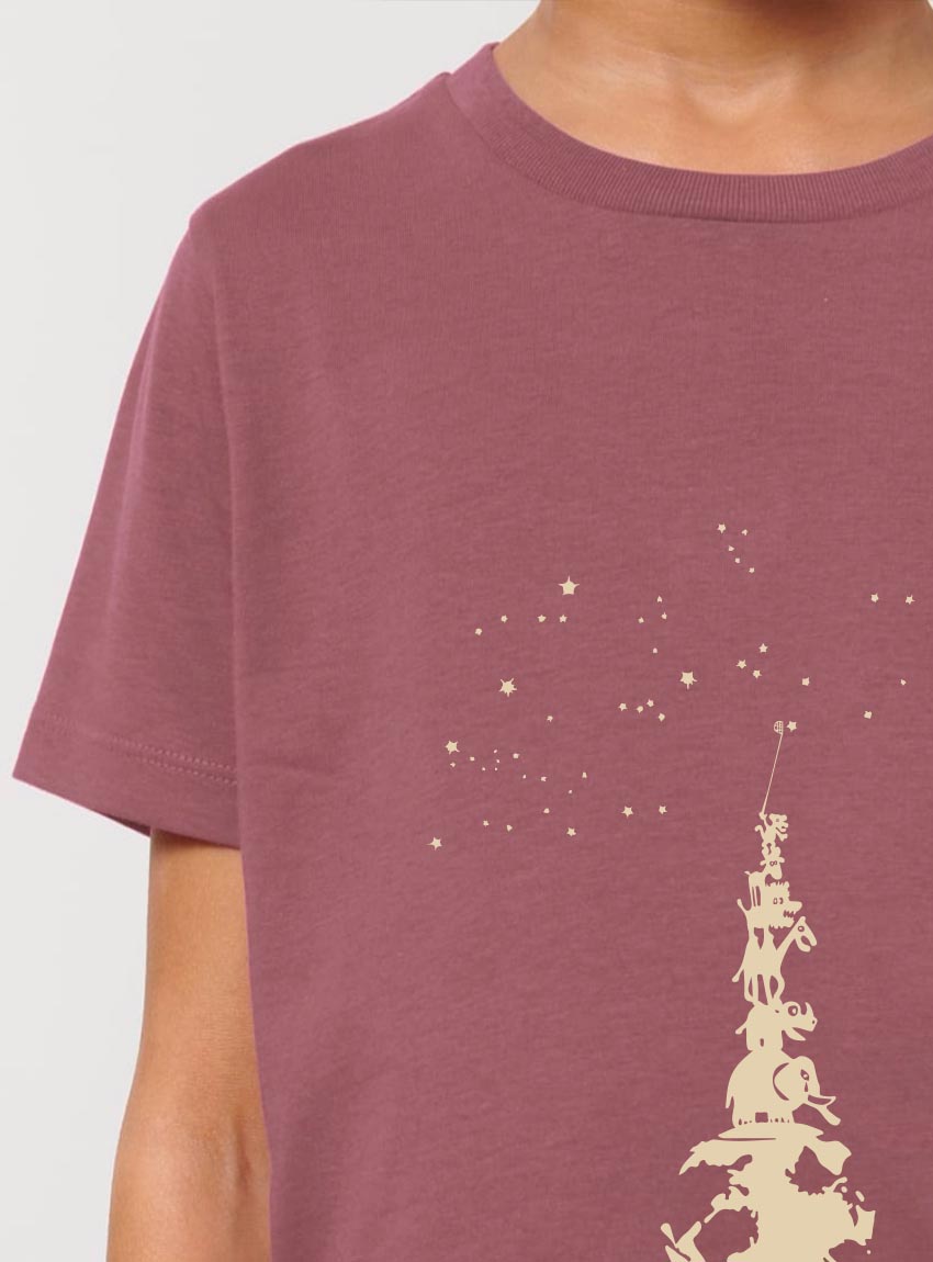 Tshirt Enfant Bio Garçon Sky Totem Hibiscus